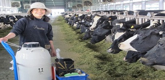 THÔNG BÁO  CHƯƠNG TRÌNH KỸ SƯ CHĂN NUÔI, THÚ Y LÀM VIỆC TẠI NHẬT BẢN