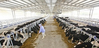 THÔNG BÁO  CHƯƠNG TRÌNH KỸ SƯ CHĂN NUÔI, THÚ Y LÀM VIỆC TẠI NHẬT BẢN