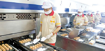 Thông báo tuyển dụng thực tập sinh ngành nông nghiệp chăn nuôi làm việc tại Nhật Bản