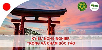Thông báo tuyển Kỹ sư Nông nghiệp (trồng và chăm sóc táo) làm việc tại Nhật Bản tháng 9