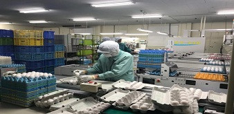Tuyển 9 nam đi chăn nuôi và thu hoạch trứng gà tại tỉnh Hiroshima Nhật Bản. Lương 30 triệu/tháng( chưa bao gồm làm thêm).