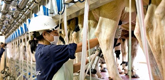 THÔNG BÁO  CHƯƠNG TRÌNH KỸ SƯ CHĂN NUÔI, THÚ Y LÀM VIỆC TẠI NHẬT BẢN