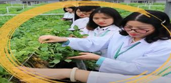[English below]  ????  Chúc mừng Ngày Quốc tế Phụ nữ 8/3!  ????