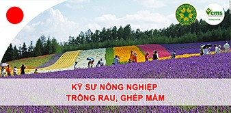 Thông báo tuyển Kỹ sư Nông nghiệp (trồng rau) làm việc tại Nhật Bản tháng 6