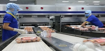 Tuyển 12 nam thực tập sinh ngành chăn nuôi đi làm việc tại tỉnh Shizuoka Nhật Bản. Lương 28 triệu đồng/tháng