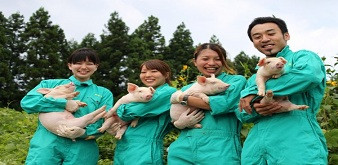 THÔNG BÁO  CHƯƠNG TRÌNH KỸ SƯ CHĂN NUÔI, THÚ Y LÀM VIỆC TẠI NHẬT BẢN
