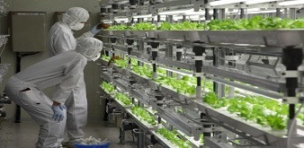 CHÍNH SÁCH MỚI CỦA NHẬT BẢN VỀ VIỆC TIẾP NHẬN LAO ĐỘNG NƯỚC NGOÀI VỚI TƯ CÁCH  “KỸ NĂNG ĐẶC BIỆT 