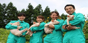 TUYỂN 5 NAM, 5 NỮ KỸ SƯ CHĂN NUÔI LỢN ĐI LÀM VIỆC TẠI NHẬT BẢN. LƯƠNG 40 TRIỆU CHƯA BAO GỒM LÀM THÊM GIỜ