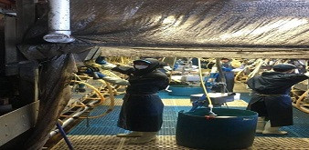 CƠ HỘI CỦA CÁC KỸ SƯ CHĂN NUÔI THÚ Y VIỆT NAM TẠI NHẬT BẢN
