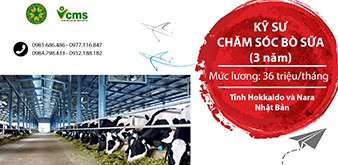 Thông báo tuyển Kỹ sư chăm sóc bò sữa làm việc tại Nhật Bản tháng 5