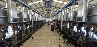THÔNG BÁO  CHƯƠNG TRÌNH KỸ SƯ CHĂN NUÔI, THÚ Y LÀM VIỆC TẠI NHẬT BẢN