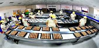 THÔNG BÁO  TUYỂN THỰC TẬP SINH NGÀNH CHĂN NUÔI TẠI NHẬT BẢN