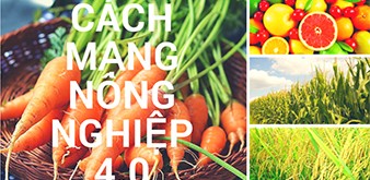 Nhật Bản, giải pháp đào tạo nguồn nhân lực chất lượng cao cho nền nông nghiệp 4.0