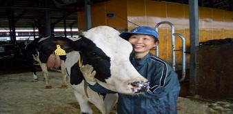 TUYỂN 2 NAM KỸ SƯ CHĂN NUÔI BÒ SỮA TẠI TỈNH GUMA NHẬT BẢN. LƯƠNG 42 TRIÊU/THÁNG
