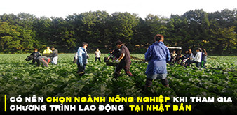 CÓ NÊN CHỌN NGÀNH NÔNG NGHIỆP KHI THAM GIA CHƯƠNG TRÌNH LAO ĐỘNG NHẬT KHÔNG?