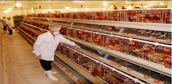 THÔNG BÁO  TUYỂN  THỰC TẬP SINH NGÀNH CHĂN NUÔI LÀM VIỆC TẠI NHẬT BẢN  