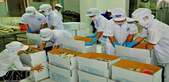 THÔNG BÁO TUYỂN THỰC TẬP SINH ĐÓNG GÓI CÔNG NGHIỆP. LƯƠNG 32 TRIỆU/THÁNG. LÀM VIỆC TẠI TỈNH GIFU NHẬT BẢN