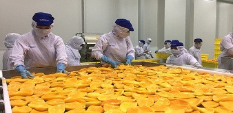 Tuyển 10 nữ chế biến thực phẩm làm việc tại tỉnh Nagano Nhật Bản. Lương 29 triệu đồng/tháng. 