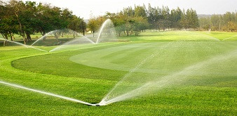 TUYỂN THỰC TẬP SINH NGÀNH NÔNG NGHIỆP SÂN GOLF TẠI NHẬT BẢN