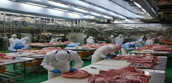 THÔNG BÁO  TUYỂN THỰC TẬP SINH NGÀNH CHẾ BIẾN THỰC PHẨM TẠI TỈNH TOYAMA NHẬT BẢN. TUYỂN 16 NỮ, LƯƠNG 36 TRIỆU/THÁNG