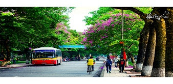 Cận cảnh ngôi trường 