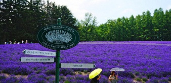 Hokkaido – Vùng đất thần kỳ của Nhật Bản